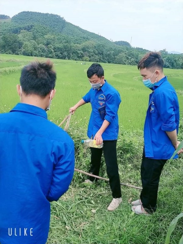 Tuổi trẻ xã Đồng Sơn chung tay làm sạch ruộng đồng 
