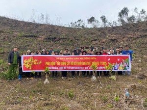 XÃ ĐỒNG SƠN PHÁT ĐỘNG TẾT TRỒNG CÂY ĐẦU XUÂN ẤT TỴ 2025 